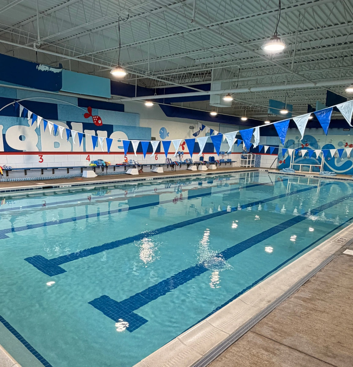 Indoor pool of Big Blue Swim School in Hoffman Estates, IL